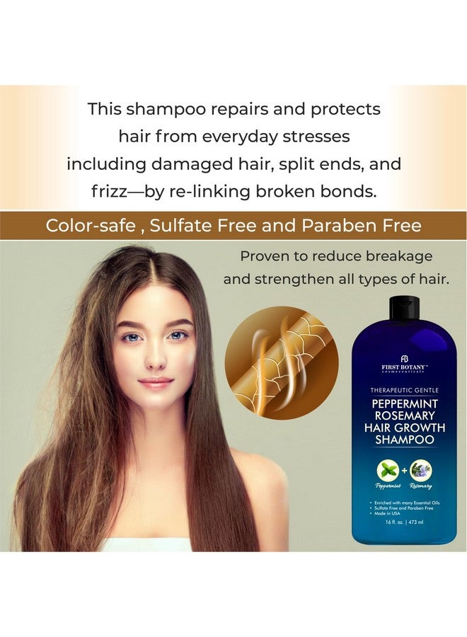 Peppermint Rosemary Hair Regrowth Shampoo Anti Hair Loss Product Daily Hydrating Detoxifying Volumizing Shampoo And Fights Dandruff For Men And Women 16 Fl Oz