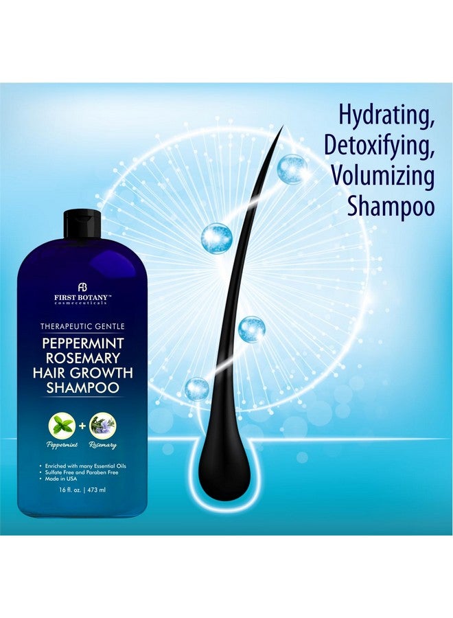 Peppermint Rosemary Hair Regrowth Shampoo Anti Hair Loss Product Daily Hydrating Detoxifying Volumizing Shampoo And Fights Dandruff For Men And Women 16 Fl Oz