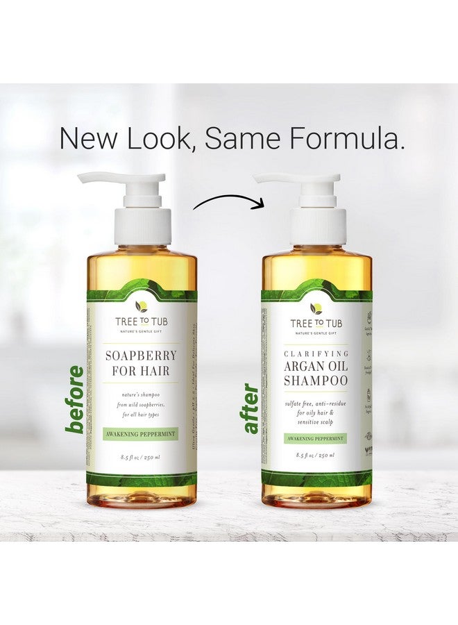 Peppermint Shampoo For Oily Hair & Sensitive Scalp Gentle Clarifying Shampoo For Build Up Sulfate Free Anti Residue Hair Shampoo For Women & Men W/Organic Argan Oil Natural Aloe Vera