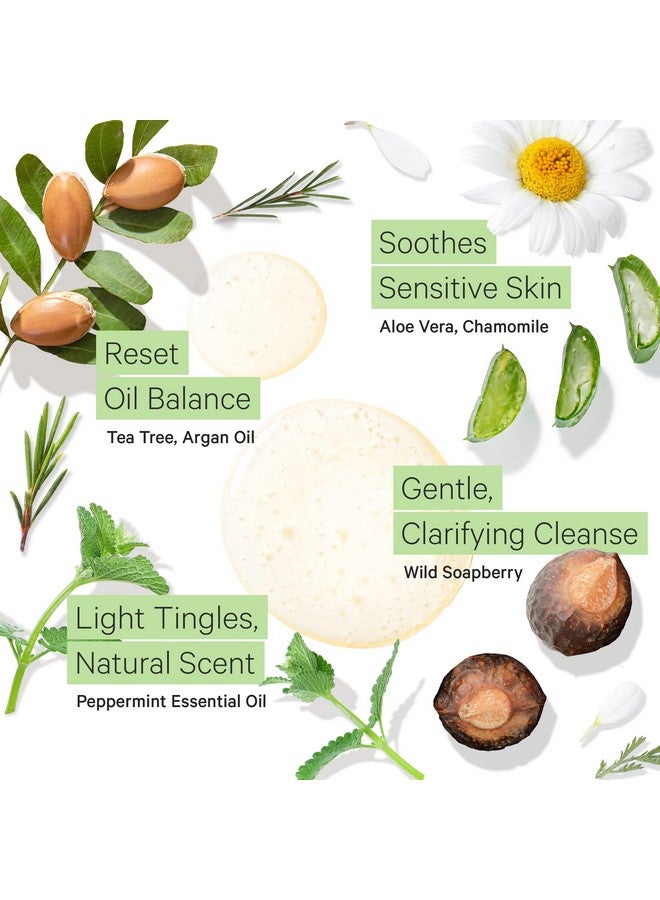 Peppermint Shampoo For Oily Hair & Sensitive Scalp Gentle Clarifying Shampoo For Build Up Sulfate Free Anti Residue Hair Shampoo For Women & Men W/Organic Argan Oil Natural Aloe Vera
