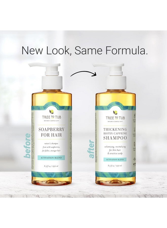 Biotin Fine Hair Thickening Shampoo For Thicker Fuller Volume Gentle Volumizing Sulfate Free Argan Oil Shampoo For Women & Men W/Caffeine Organic Saw Palmetto All Natural Tea Tree