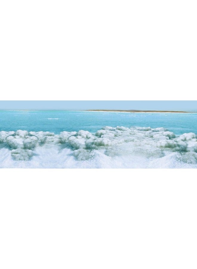 Dead Sea Intensive Foot Care Lotion Contains Aloe Vera As The Base And Eucalyptus Oil For Deep Penetration.