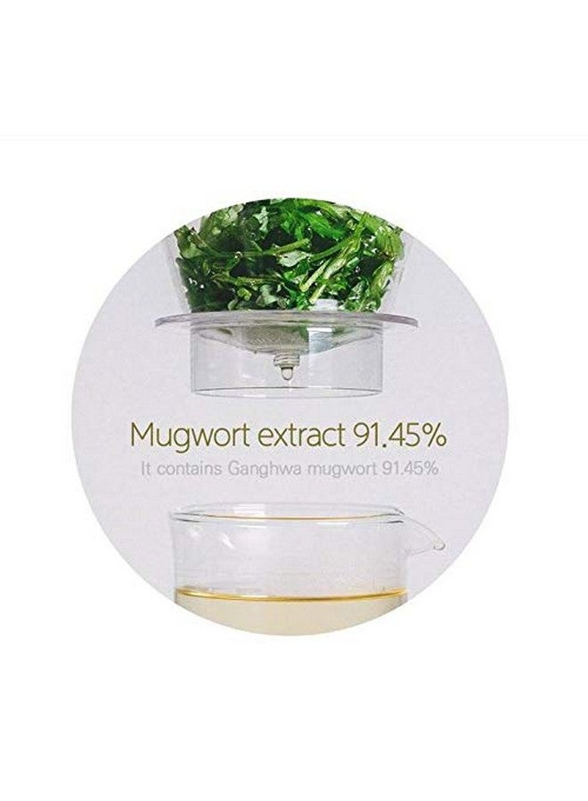 Mugwort Sheet Mask 91.45% Pure Mugwort Extract Calming 10 Masks