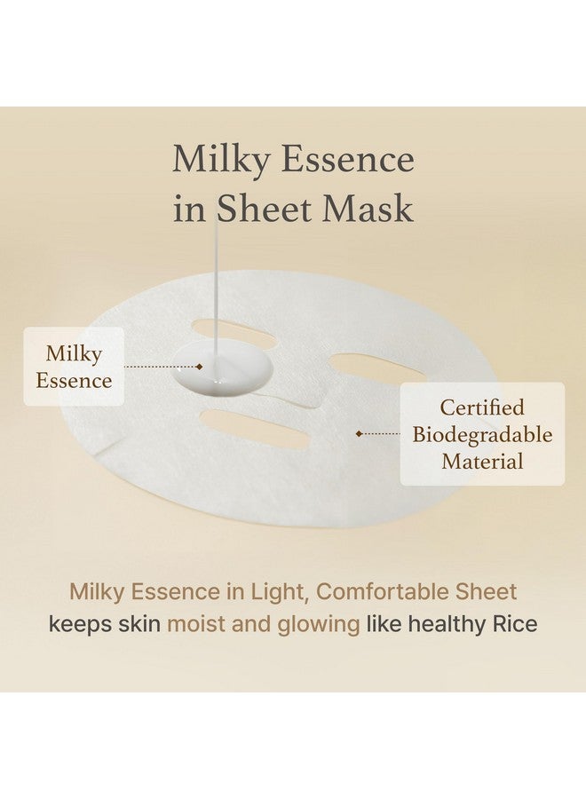 Rice Sheet Mask Pack Of 5 60% Korean Rice Face Mask Creamy Hydration For Dry Combination Skin Moist Milky Essence Biodegradable Vegan Hypoallergenic 20Ml