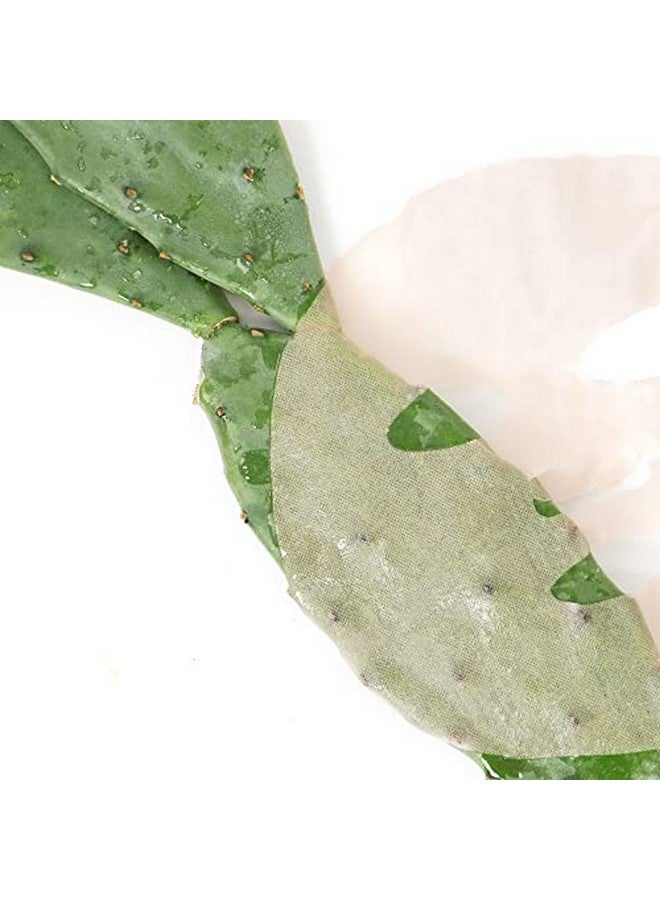 Pink Cactus Mask Antiaging Oil Sheet Facial Mask Natural Nonwater Based Formula Packed With Cactus Extracts Infused With Hyaluronic Acid Vegan 1 Capsule And 1 Mask