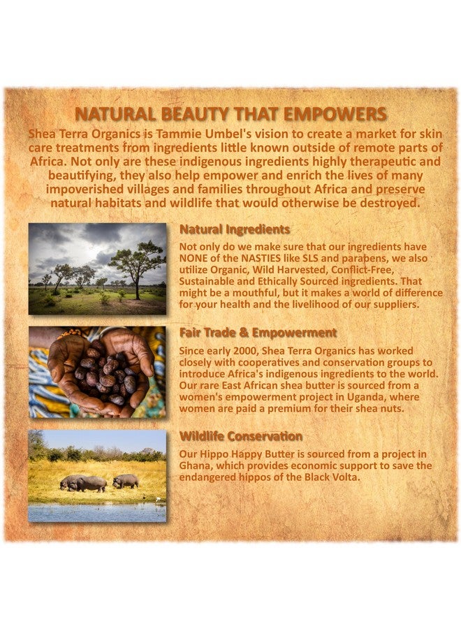 Shea Terra Camel’S Milk Collection Nomadic Secret Beauty Masque Natural Antiaging Brightening Face Mask With Antiacne Properties For Pore Cleansing And Super Soft Skin 5 Oz
