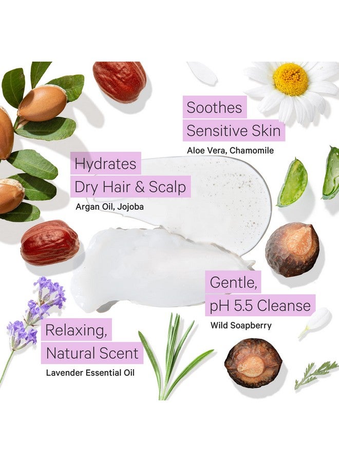 Hydrating Sulfate Free Shampoo And Conditioner Set For Dry Hair Dry Scalp Frizz Moisturizing Argan Oil Shampoo And Conditioner For Women & Men W/Organic Aloe Vera All Natural Lavender