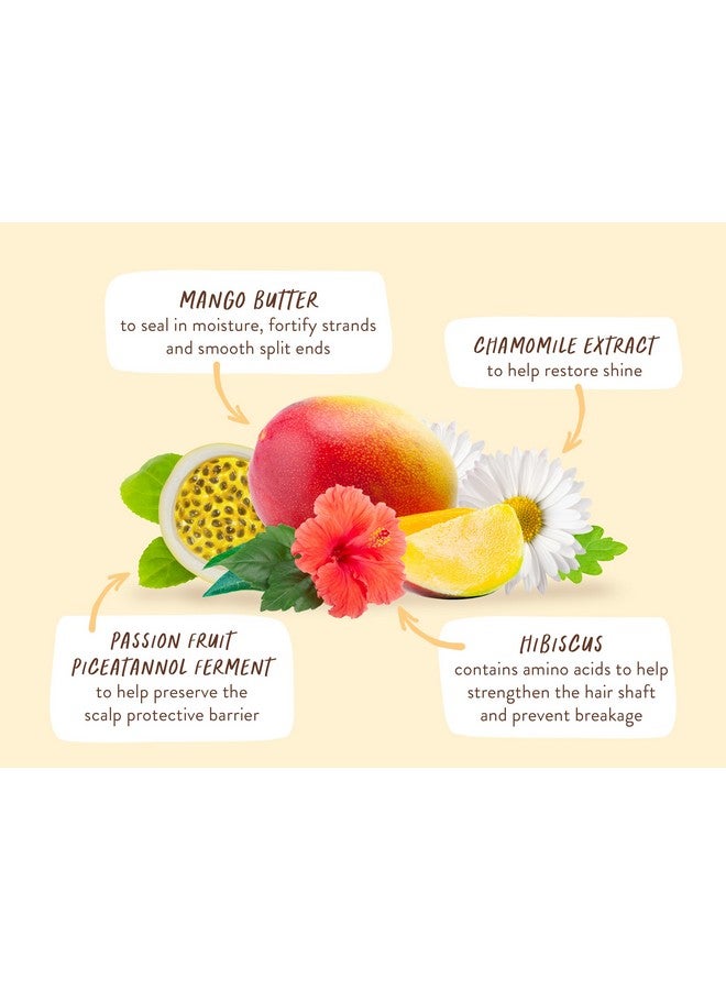 Nourishing Mango & Hibiscus Conditioner For Dry Damaged Colortreated Hair Moisturize & Soften Waterresistant Carton 80% Less Plastic Vegan Silicone Free