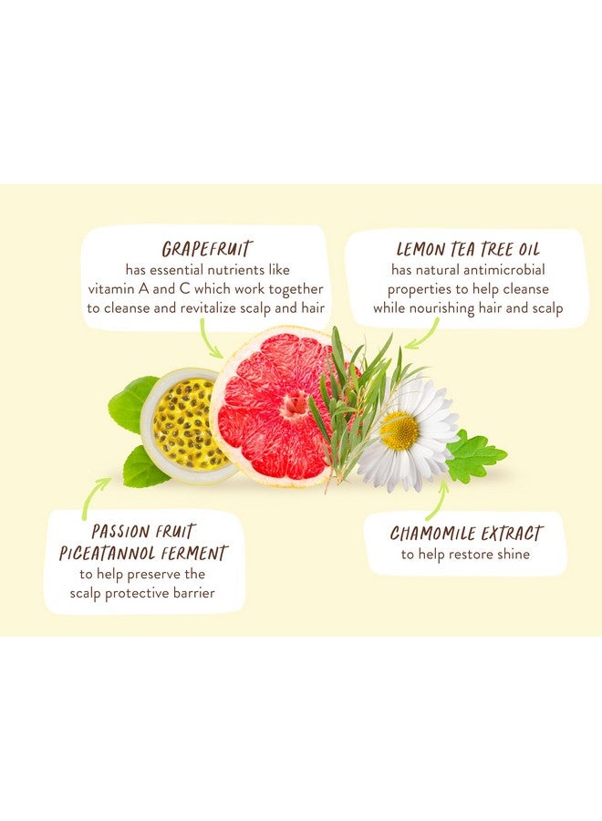 Purifying Lemon Tea Tree & Grapefruit Shampoo For Flat Oily Prone Hair Add Body & Shine Passion Fruit Ferment For Scalp Waterresistant Carton W. 80% Less Plastic Vegan