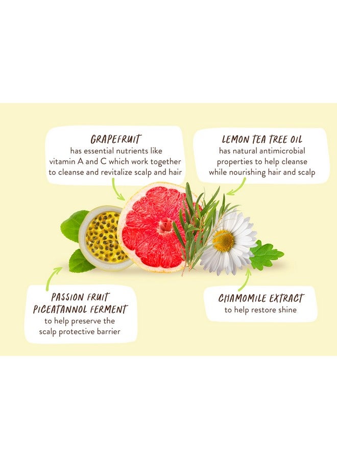 Purifying Lemon Tea Tree & Grapefruit Conditioner For Flat Oily Prone Hair Add Body & Shine Citrusmint Fragrance Waterresistant Carton W. 80% Less Plastic Vegan