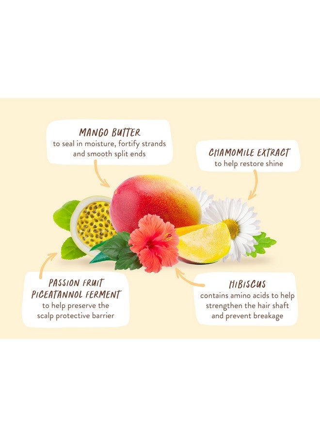 Nourishing Mango & Hibiscus Shampoo For Dry Damaged Colortreated Hair Moisturize & Soften Passion Fruit Ferment For Scalp Waterresistant Carton W. 80% Less Plastic Vegan