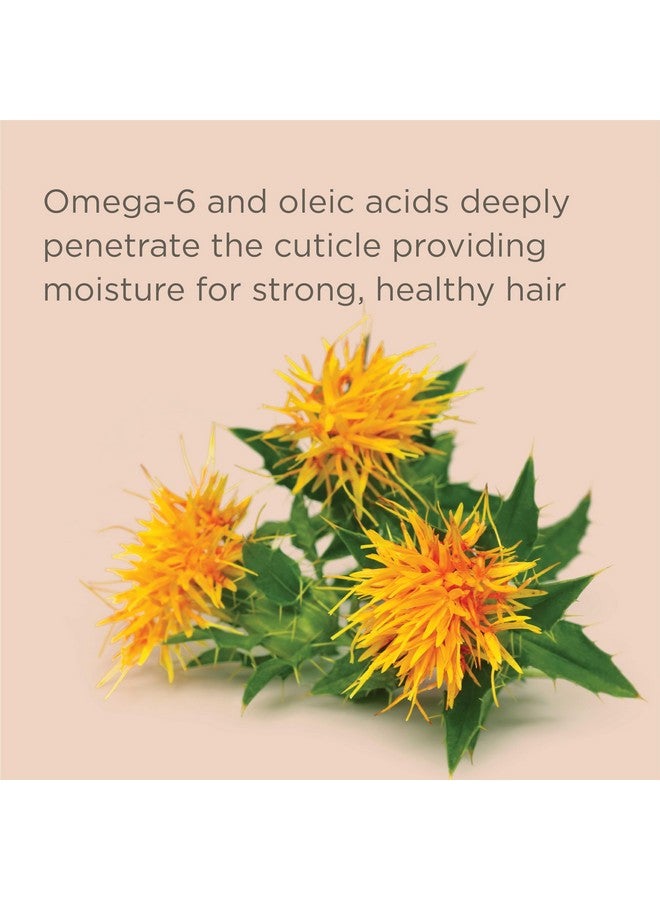 Outta My Hair Gentle Daily Shampoo Cleanses + Hydrates Hair For Dry Hair With Jojoba Oil + Sos Deep Moisture + Restore Conditioner For Dry Thick Hair With Safflower Oil 13 Oz