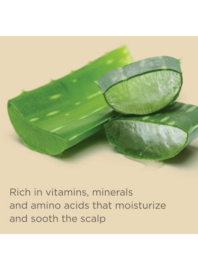 Outta My Hair Gentle Daily Shampoo Cleanses + Hydrates Hair For Dry Hair With Jojoba Oil + Sos Deep Moisture + Restore Conditioner For Dry Thick Hair With Safflower Oil 13 Oz