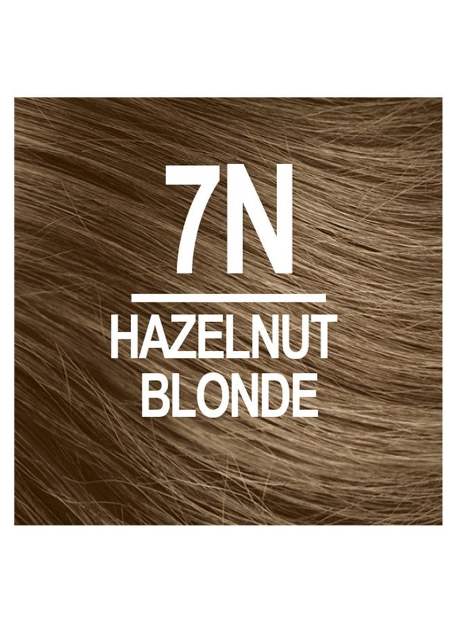 Permanent Hair Color 7N Hazelnut Blonde (Pack Of 6) Ammonia Free Vegan Cruelty Free Up To 100% Gray Coverage Long Lasting Results