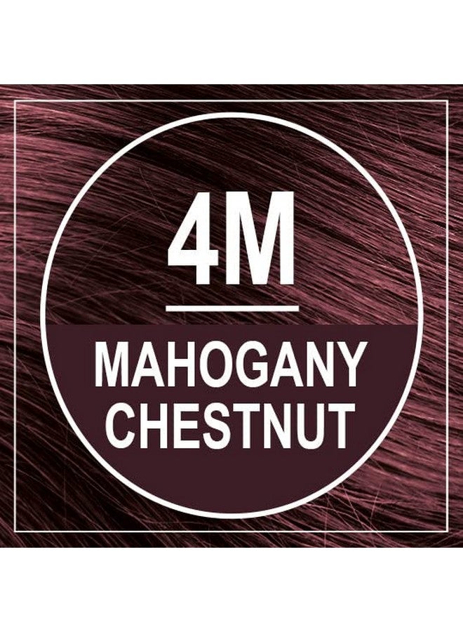 Permanent Hair Color 4M Mahogany Chestnut (Pack Of 6) Ammonia Free Vegan Cruelty Free Up To 100% Gray Coverage Long Lasting Results