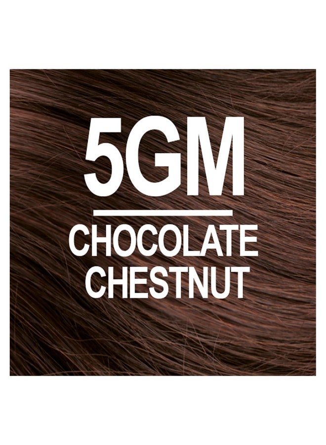 Permanent Hair Color 5Gm Chocolate Chestnut (Pack Of 6) Ammonia Free Vegan Cruelty Free Up To 100% Gray Coverage Long Lasting Results