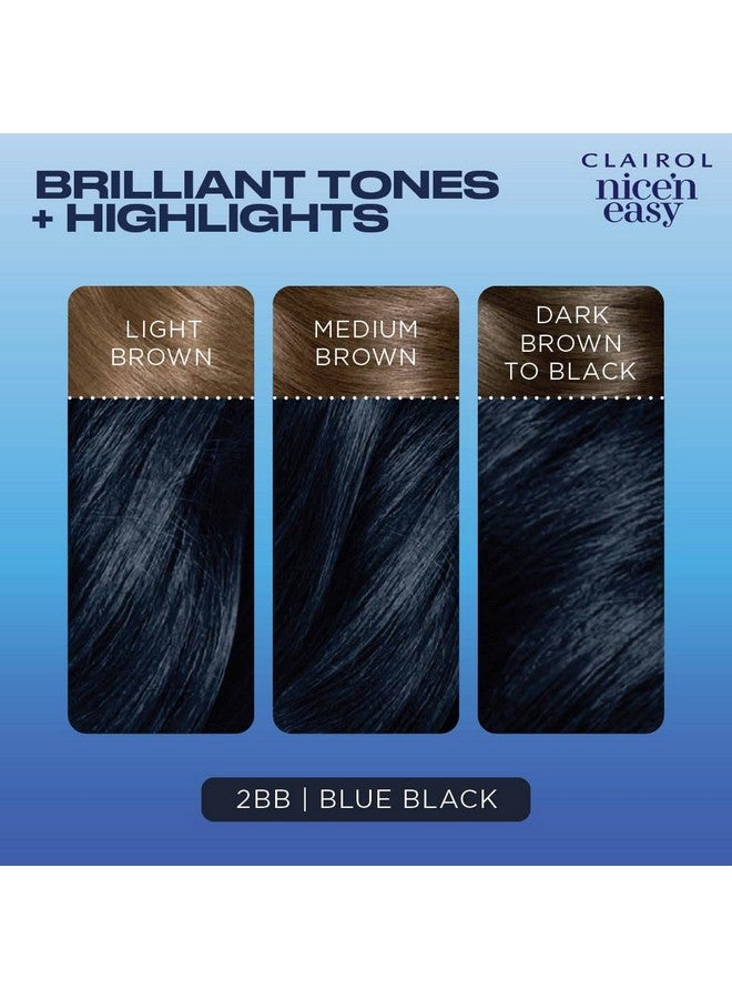 Nice'N Easy Permanent Hair Dye 2Bb Blue Black Hair Color Pack Of 1