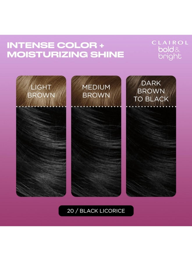 Bold & Bright Permanent Hair Dye 20 Black Licorice Hair Color Pack Of 1