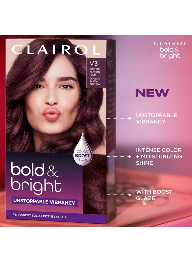 Bold & Bright Permanent Hair Dye 20 Black Licorice Hair Color Pack Of 1