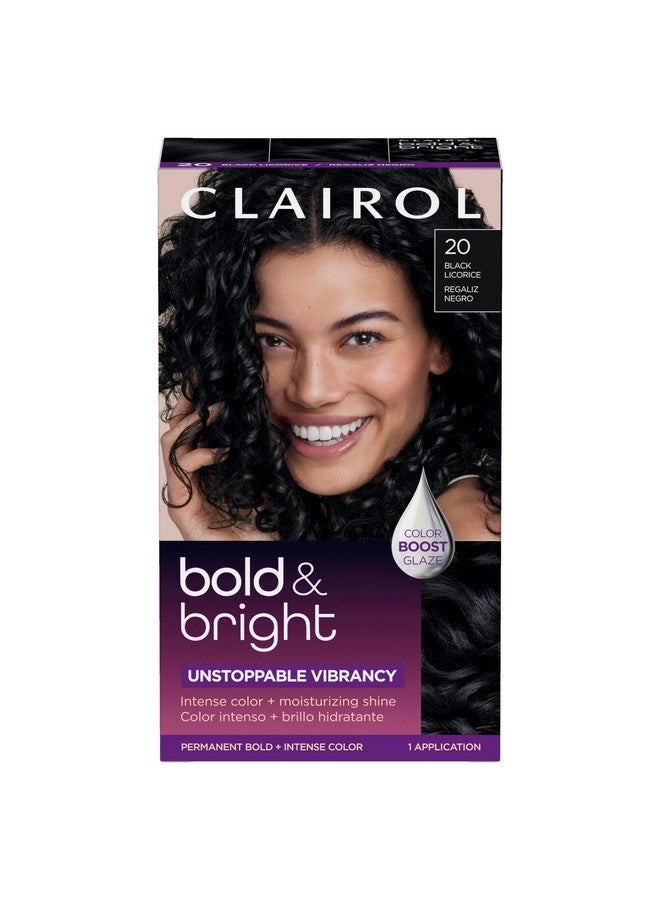 Bold & Bright Permanent Hair Dye 20 Black Licorice Hair Color Pack Of 1