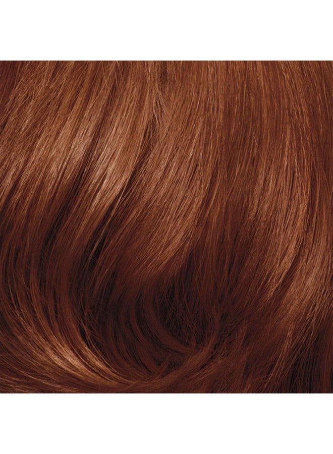 Nice'N Easy Perfect 10 Permanent Hair Dye 6R Light Auburn Hair Color Pack Of 1