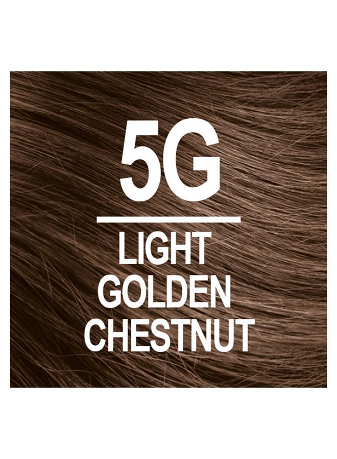 Permanent Hair Color 5G Light Golden Chestnut (Pack Of 6) Ammonia Free Vegan Cruelty Free Up To 100% Gray Coverage Long Lasting Results