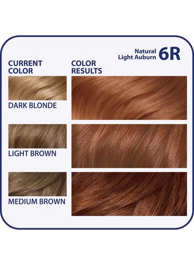 Nice'N Easy Original 6R Natural Light Auburn (Pack Of 3)