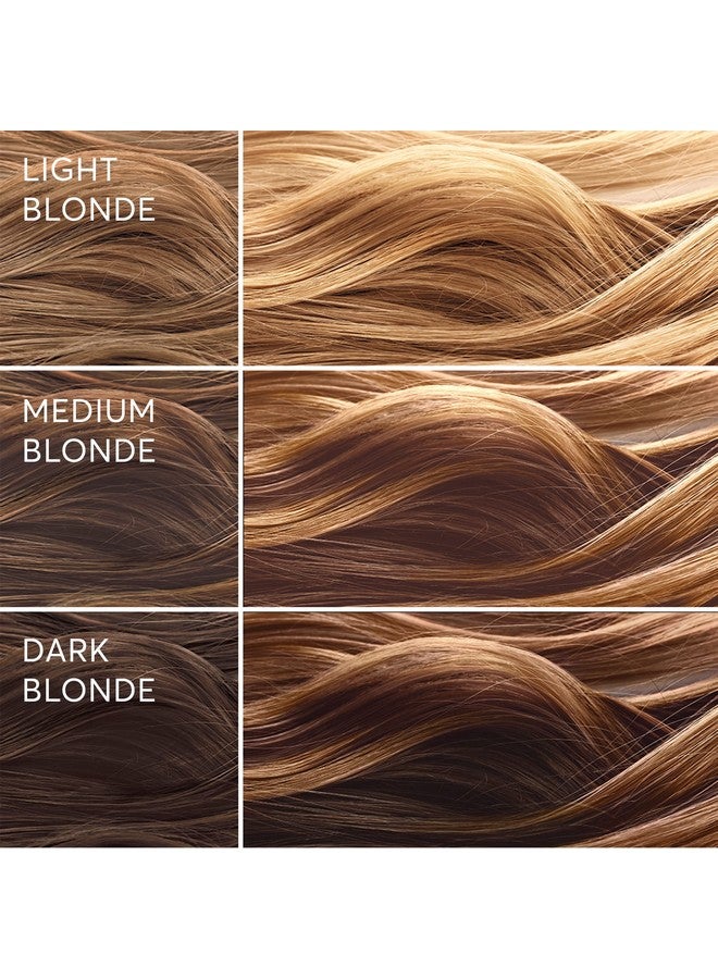 Light Works Balayage Highlighting Kit Creates Naturallooking Warm Honey Highlights (Palmi Blonde) Amonia Free Cruelty Free 2 Step Process That Lightens & Tones Hair