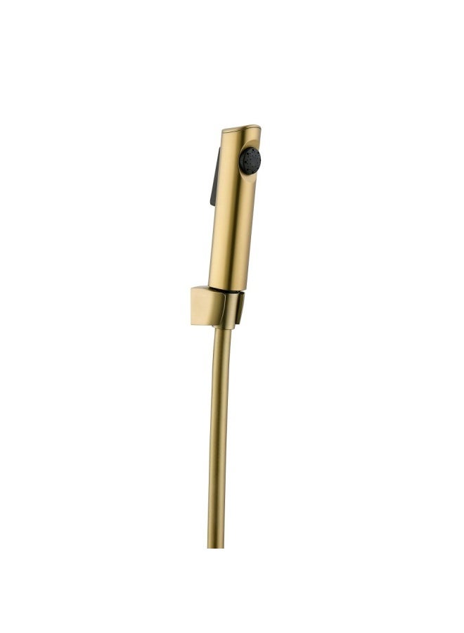 Milano Phantom Bidet Set - Brushed Gold â€“ With 3-Year Warranty