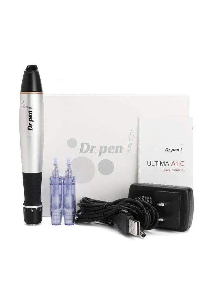 Derma Pen A1 Silver with needles