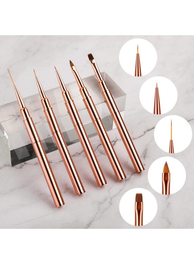 5Pcs Doubleended Acrylic Nail Art Brushes Set Nail Art Liner Brushes 3D Nail Art Decorations Nail Art Tools Super Fine Striper Brush Set For Long Lines Thin Details Fine Drawing