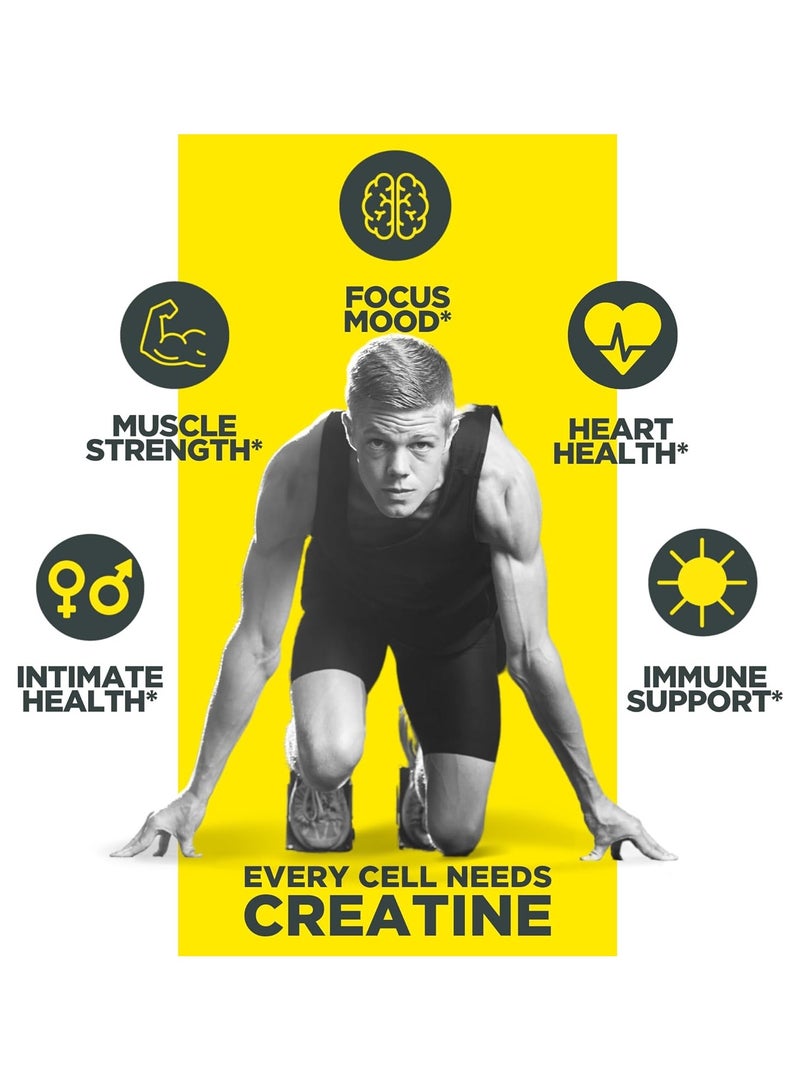 Concentrated Creatine 57.6g Raspberry Flavor 60 Serving