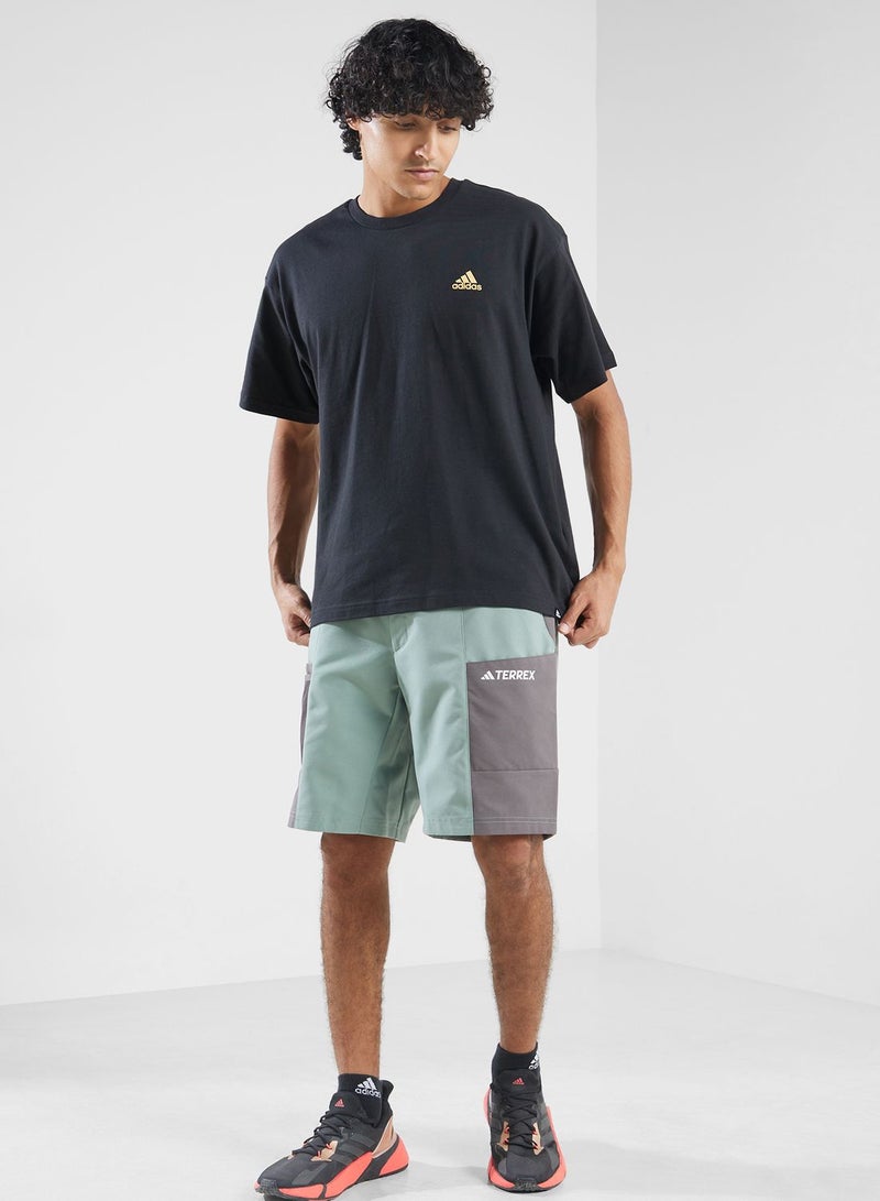 Terrex Cargo Shorts