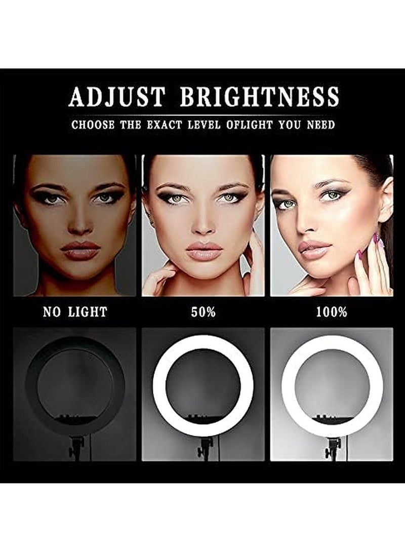 RL 21 LED Soft Ring Light with 3 Mobile Phone Holder 3 Mode Light With Ring Light Tripod Stand