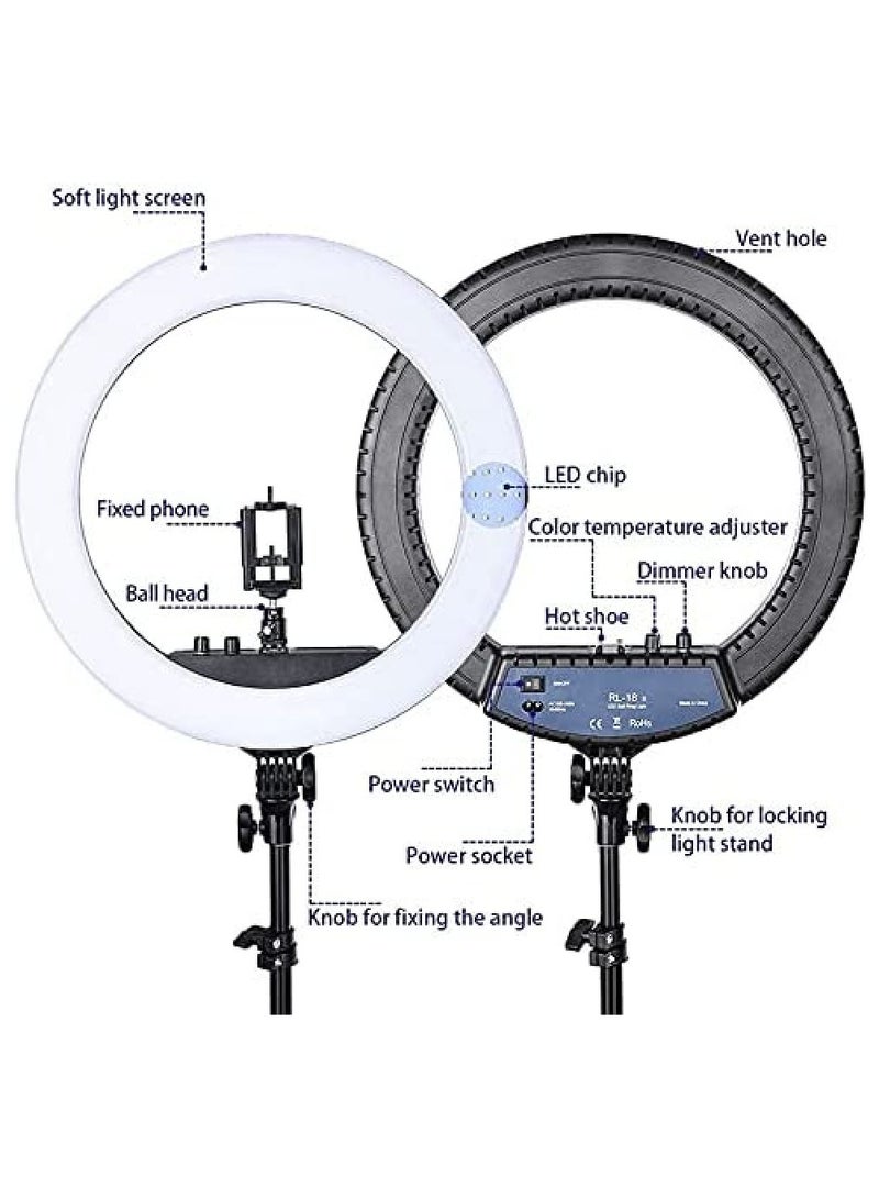 21 inch Professional Big LED Selfie Ring Light With 3 Mount Phone Holders For Reels Photo Shoot Live Stream Makeup Videos