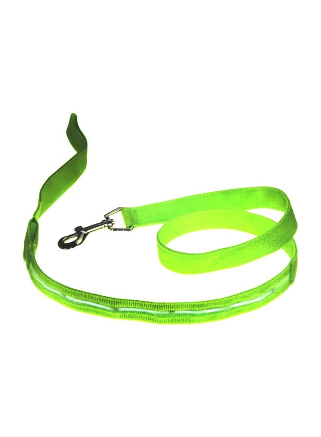 Nylon Dog Belt Green 120cm