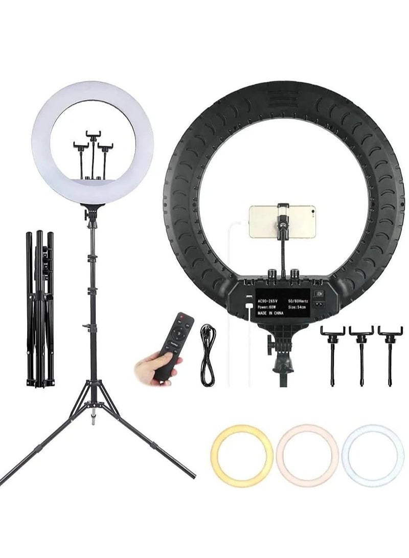 RL 21 LED Soft Ring Light with 3 Mobile Phone Holder 3 Mode Light With Ring Light Tripod Stand