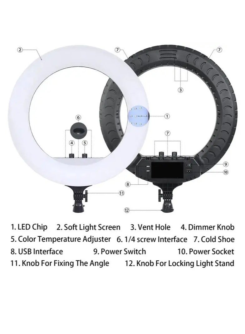 RL 21 LED Soft Ring Light with 3 Mobile Phone Holder 3 Mode Light With Ring Light Tripod Stand