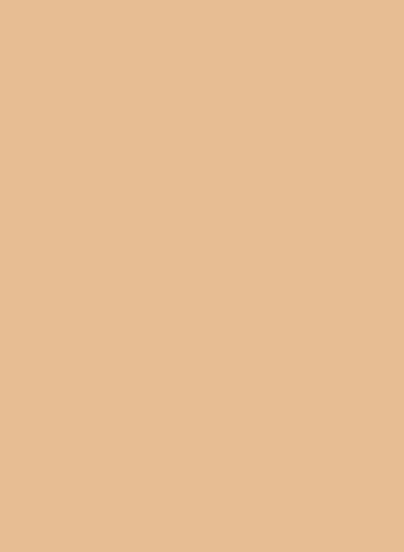 Full Coverage 2-In-1 Foundation & Concealer - Warm Beige 25 - New
