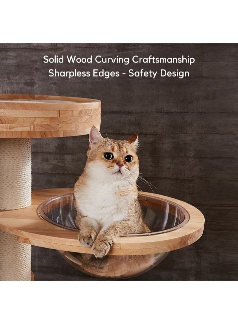 SOPAPETS High-End Large Cat Tree Tower, Premium Rubber Wood Made, Cat Condo with Scratching Posts, Transparent Space Capsule, Super Stable (48*48*121cm)