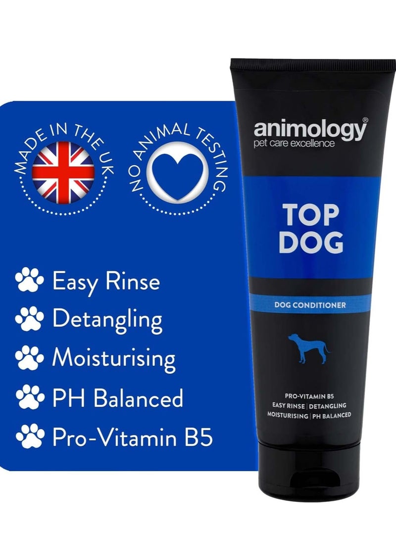 Animology top dog conditioner 250ml