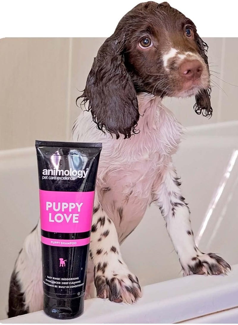 Animology Puppy Love Puppy Shampoo 250ml