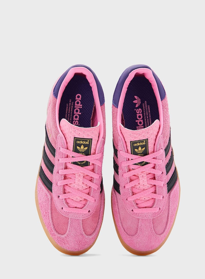 Gazelle Indoor