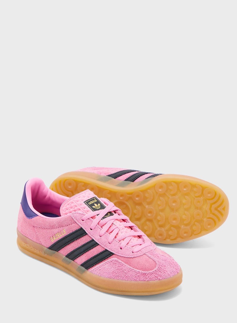 Gazelle Indoor
