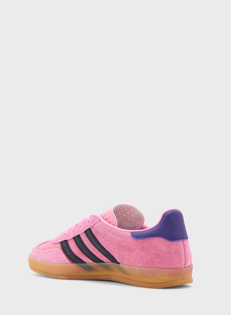 Gazelle Indoor