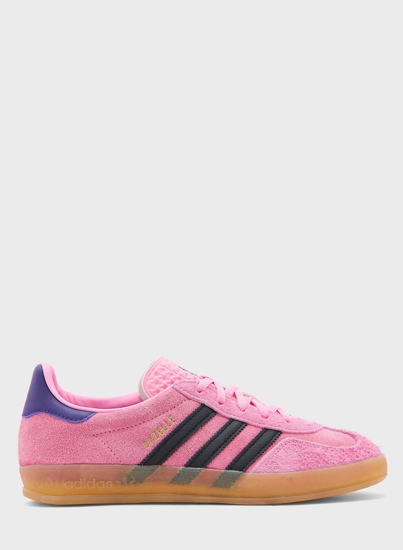 Gazelle Indoor
