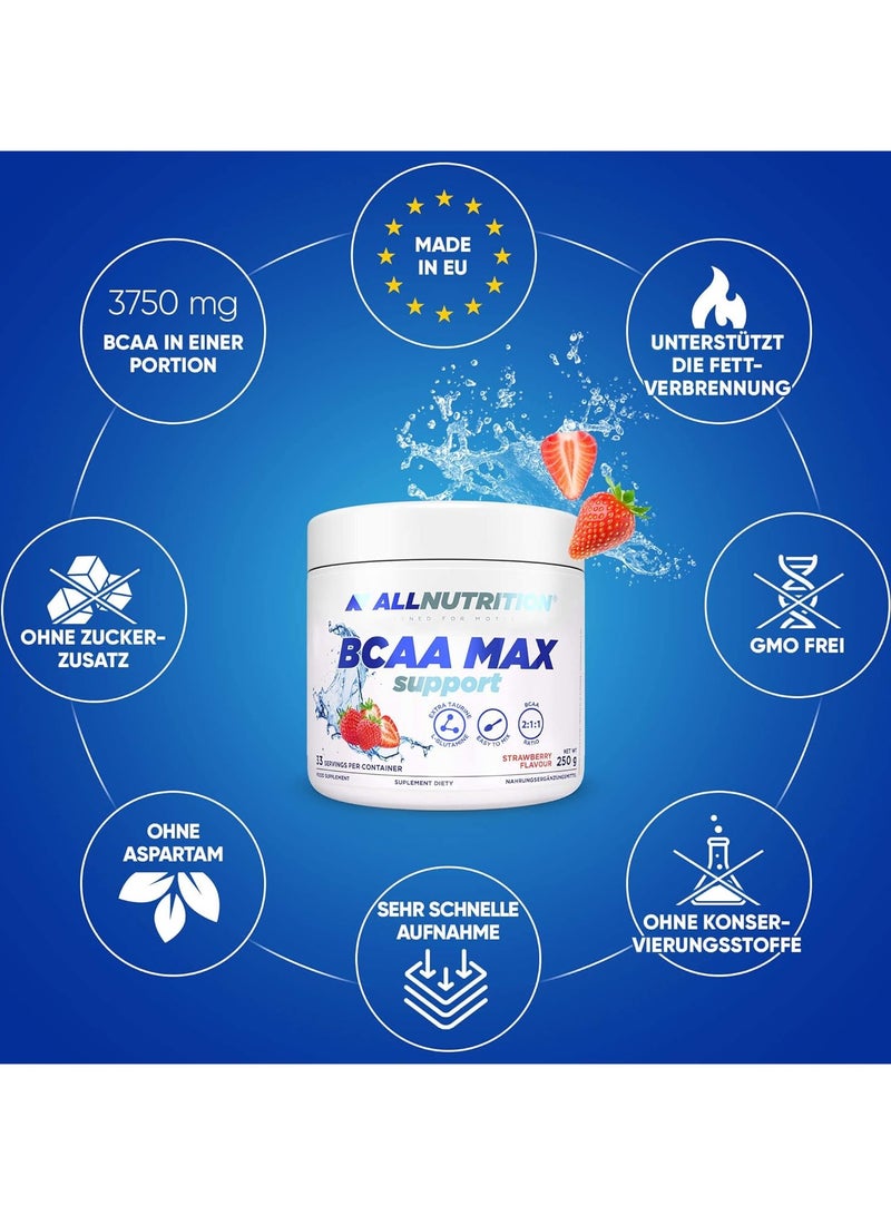ALLNUTRITION BCAA MAX Support Strawberry Flavor 250g, 33 Serving