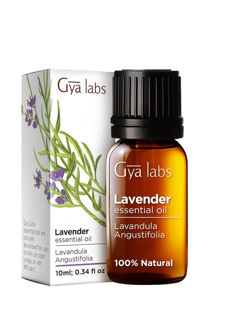 Gya Labs Lavender Essential Oil for Diffuser - 100% Natural Lavender Oil for Skin, Lavender Oil Essential Oil for Hair & Massage - 100% Pure Aromatherapy Oils (0.34 fl oz)