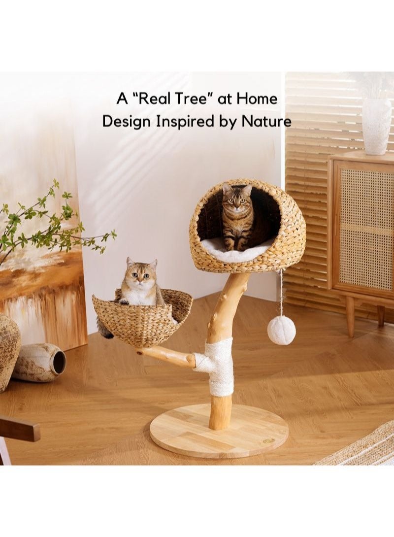 SOPAPETS High-End Medium Cat Tree Tower, Premium Rubber Wood, Scratching Posts, Cat Condo, Cat Bed, Removable Soft Cushion, Super Stable (60*60*105cm)