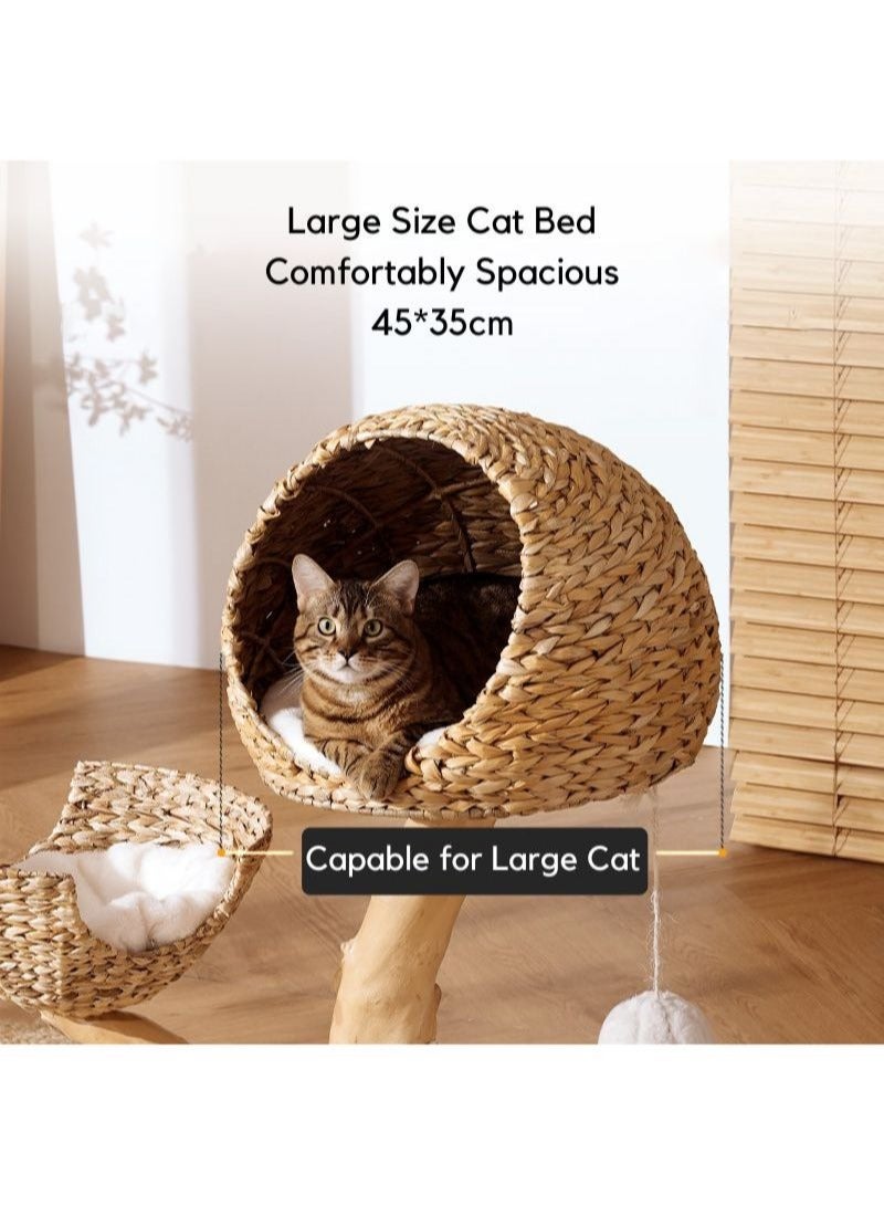 SOPAPETS High-End Medium Cat Tree Tower, Premium Rubber Wood, Scratching Posts, Cat Condo, Cat Bed, Removable Soft Cushion, Super Stable (60*60*105cm)